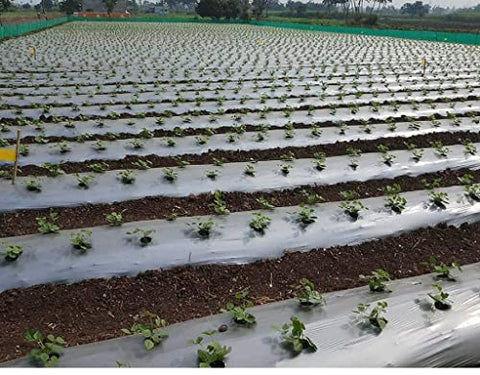 Hippo LLDPE 25 Micron Mulching Film for Agricultural Purpose