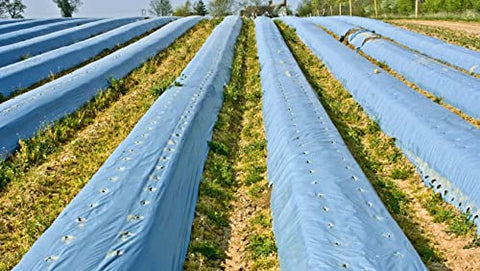 Hippo LLDPE 25 Micron Mulching Film for Agricultural Purpose