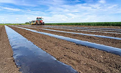 Hippo LLDPE 25 Micron Mulching Film for Agricultural Purpose