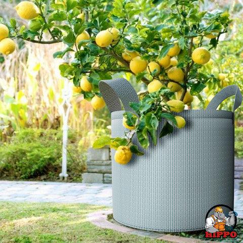 HIPPO Outdoor Grow Bags Pack of 3