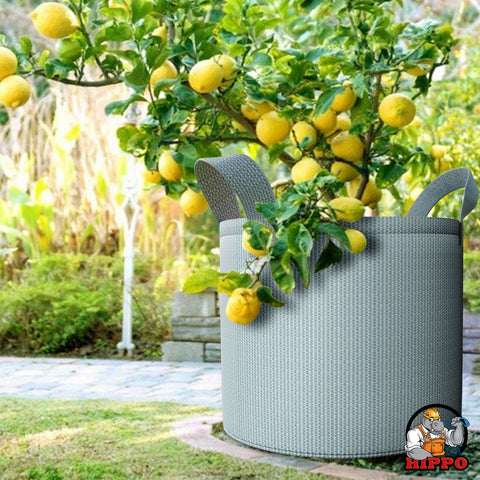 HIPPO Outdoor Grow Bags Pack of 2