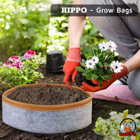 HIPPO NonWoven Fabric Grow Bag Pots 400 GSM Ideal for Outdoor, Gardening, Suitable for Spinach, Small Plants Grey Color