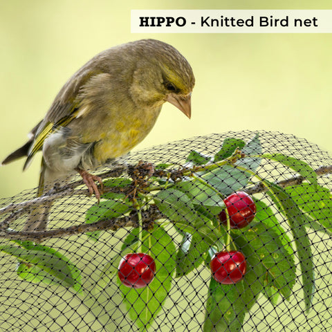 Home product image HIPPO Bird Net - Fruit Protection Garden Bird Net, Light-Weight Easy to Wrap HDPE Monofilament Net - Black Color