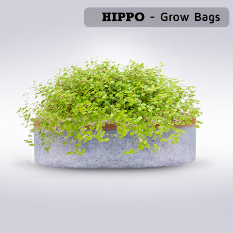 HIPPO NonWoven Fabric Grow Bag Pots 400 GSM Ideal for Outdoor, Gardening, Suitable for Spinach, Small Plants Grey Color