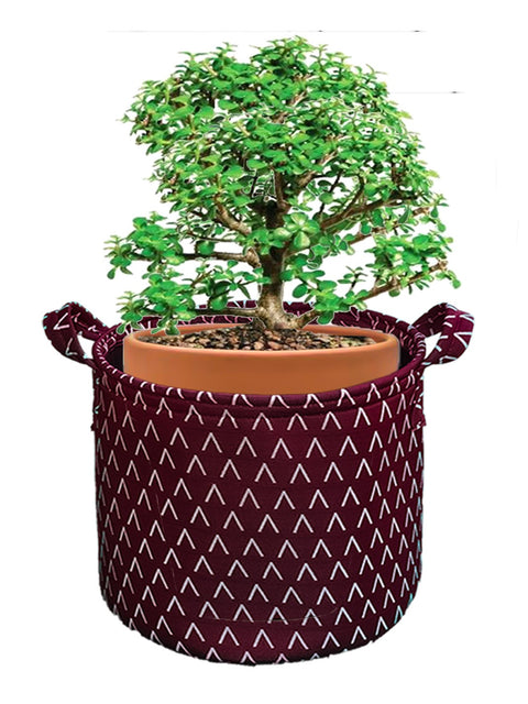 HIPPO Designer Pot Cover/Plant Basket